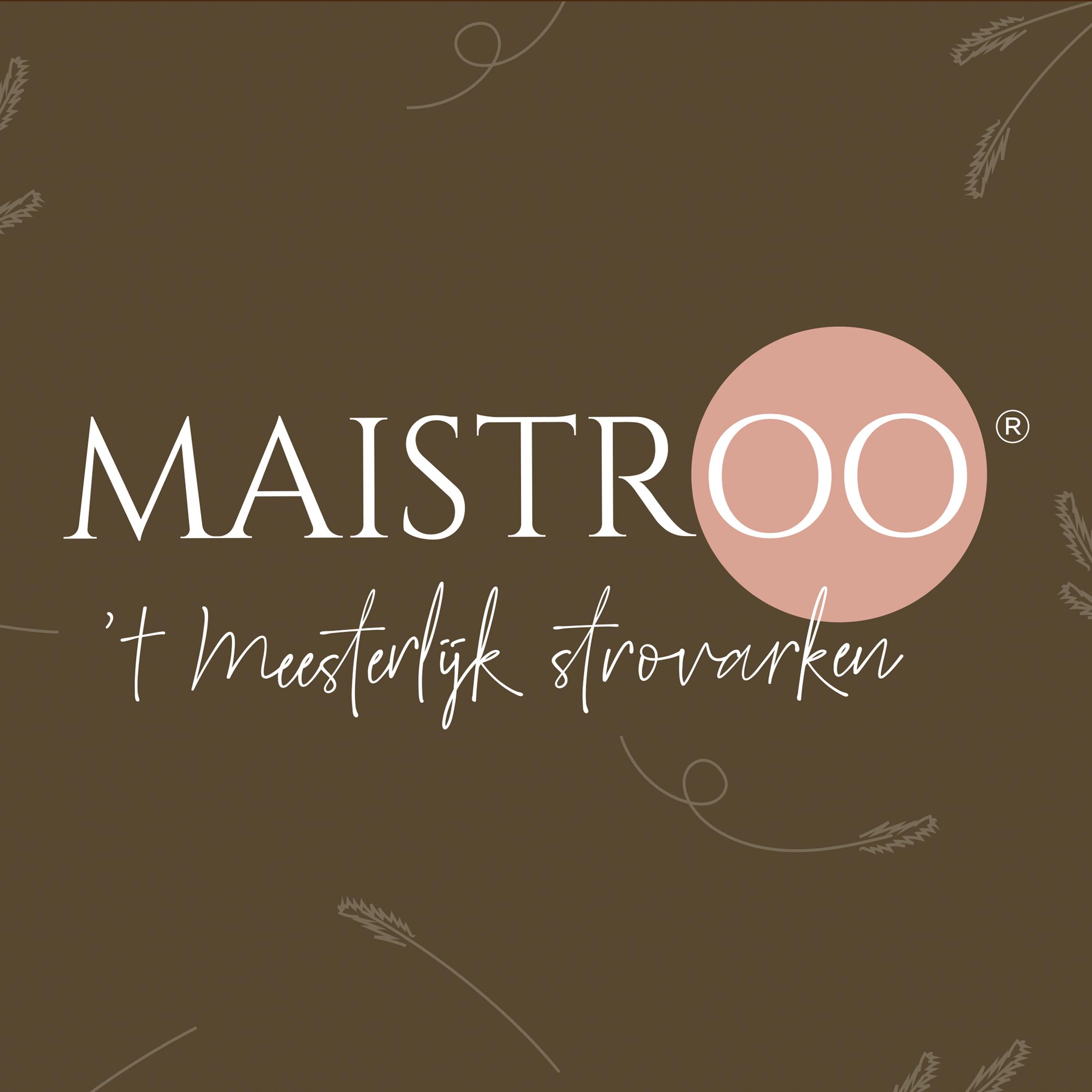 Logo Maistroo